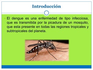 Introducción
 El dengue es una enfermedad de tipo infecciosa,
que es transmitida por la picadura de un mosquito,
que esta presente en todas las regiones tropicales y
subtropicales del planeta.
 