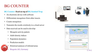 Dengue Vector surveillance Pakistan.pptx