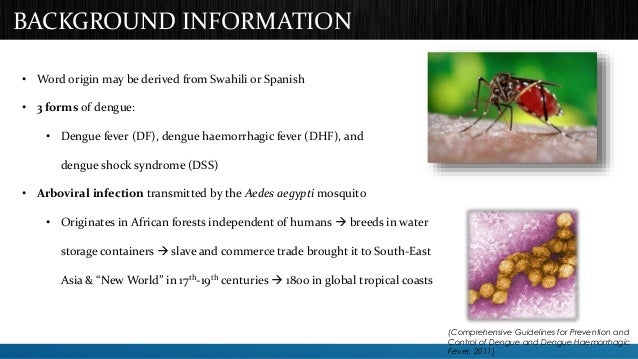 Dengue Virus Overview