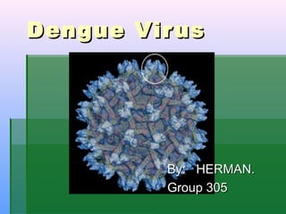 Dengue VirusDengue Virus
By: HERMAN.By: HERMAN.
Group 305Group 305
 