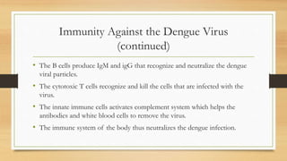 Immunity Against the Dengue Virus
(continued)
• The B cells produce IgM and igG that recognize and neutralize the dengue
viral particles.
• The cytotoxic T cells recognize and kill the cells that are infected with the
virus.
• The innate immune cells activates complement system which helps the
antibodies and white blood cells to remove the virus.
• The immune system of the body thus neutralizes the dengue infection.
 