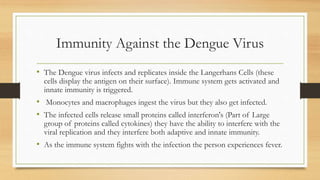 Immunity Against the Dengue Virus
• The Dengue virus infects and replicates inside the Langerhans Cells (these
cells display the antigen on their surface). Immune system gets activated and
innate immunity is triggered.
• Monocytes and macrophages ingest the virus but they also get infected.
• The infected cells release small proteins called interferon's (Part of Large
group of proteins called cytokines) they have the ability to interfere with the
viral replication and they interfere both adaptive and innate immunity.
• As the immune system fights with the infection the person experiences fever.
 