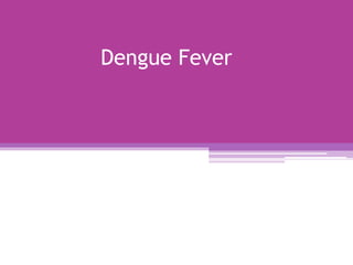 Dengue Fever
 