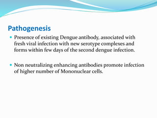 Pathogenesis
 Presence of existing Dengue antibody, associated with
fresh viral infection with new serotype complexes and
forms within few days of the second dengue infection.
 Non neutralizing enhancing antibodies promote infection
of higher number of Mononuclear cells.
 