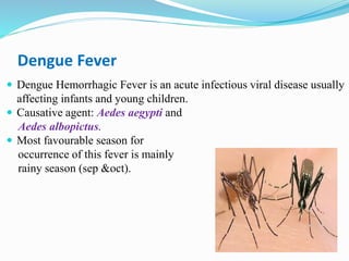 Dengue Fever
 Dengue Hemorrhagic Fever is an acute infectious viral disease usually
affecting infants and young children.
 Causative agent: Aedes aegypti and
Aedes albopictus.
 Most favourable season for
occurrence of this fever is mainly
rainy season (sep &oct).
 