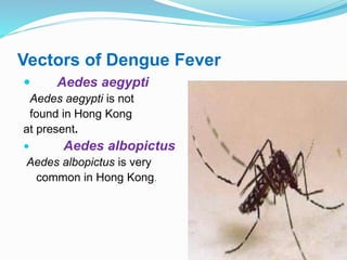 Vectors of Dengue Fever
 Aedes aegypti
Aedes aegypti is not
found in Hong Kong
at present.
 Aedes albopictus
Aedes albopictus is very
common in Hong Kong.
 