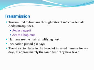 Transmission
 Transmitted to humans through bites of infective female
Aedes mosquitoes.
 Aedes aegypti
 Aedes albopictus
 Humans are the main amplifying host.
 Incubation period 5-8 days.
 The virus circulates in the blood of infected humans for 2-7
days, at approximately the same time they have fever.
 