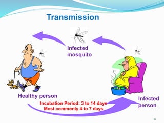 21
Transmission
Infected
person
Healthy person
Infected
mosquito
Incubation Period: 3 to 14 days
Most commonly 4 to 7 days
 