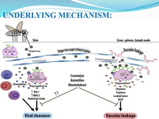 UNDERLYING MECHANISM:
 