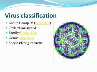 Virus classification
 Group:Group IV ((+)ssRNA)
 Order:Unassigned
 Family:Flaviviridae
 Genus:Flavivirus
 Species:Dengue virus
 