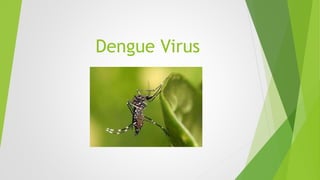 Dengue Virus
 