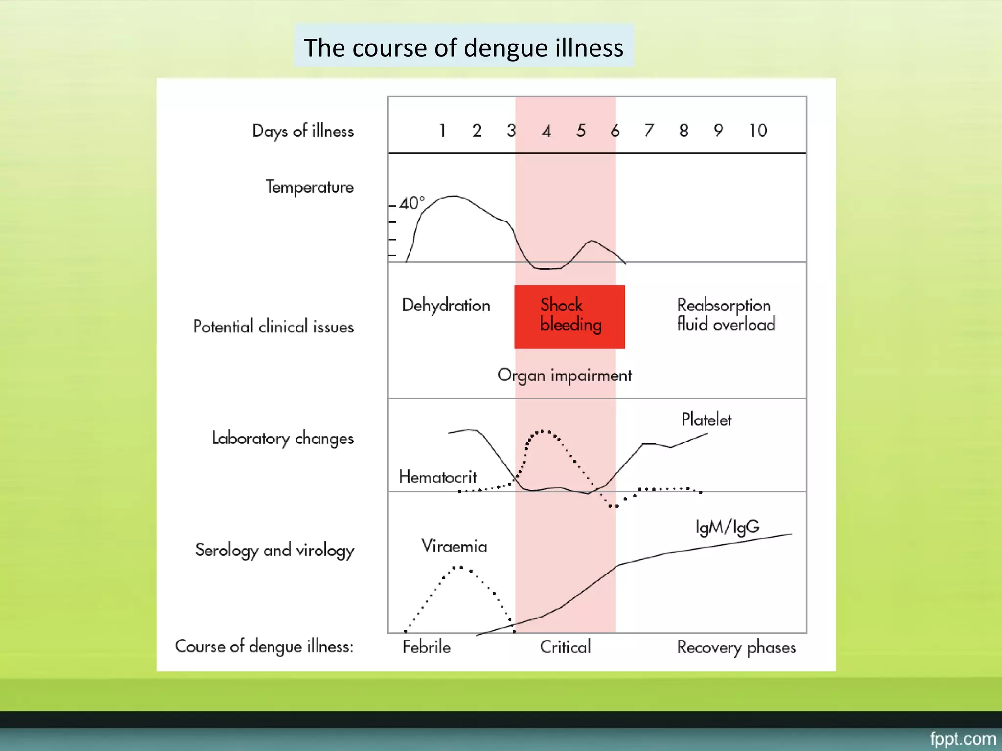 The course of dengue illness
 