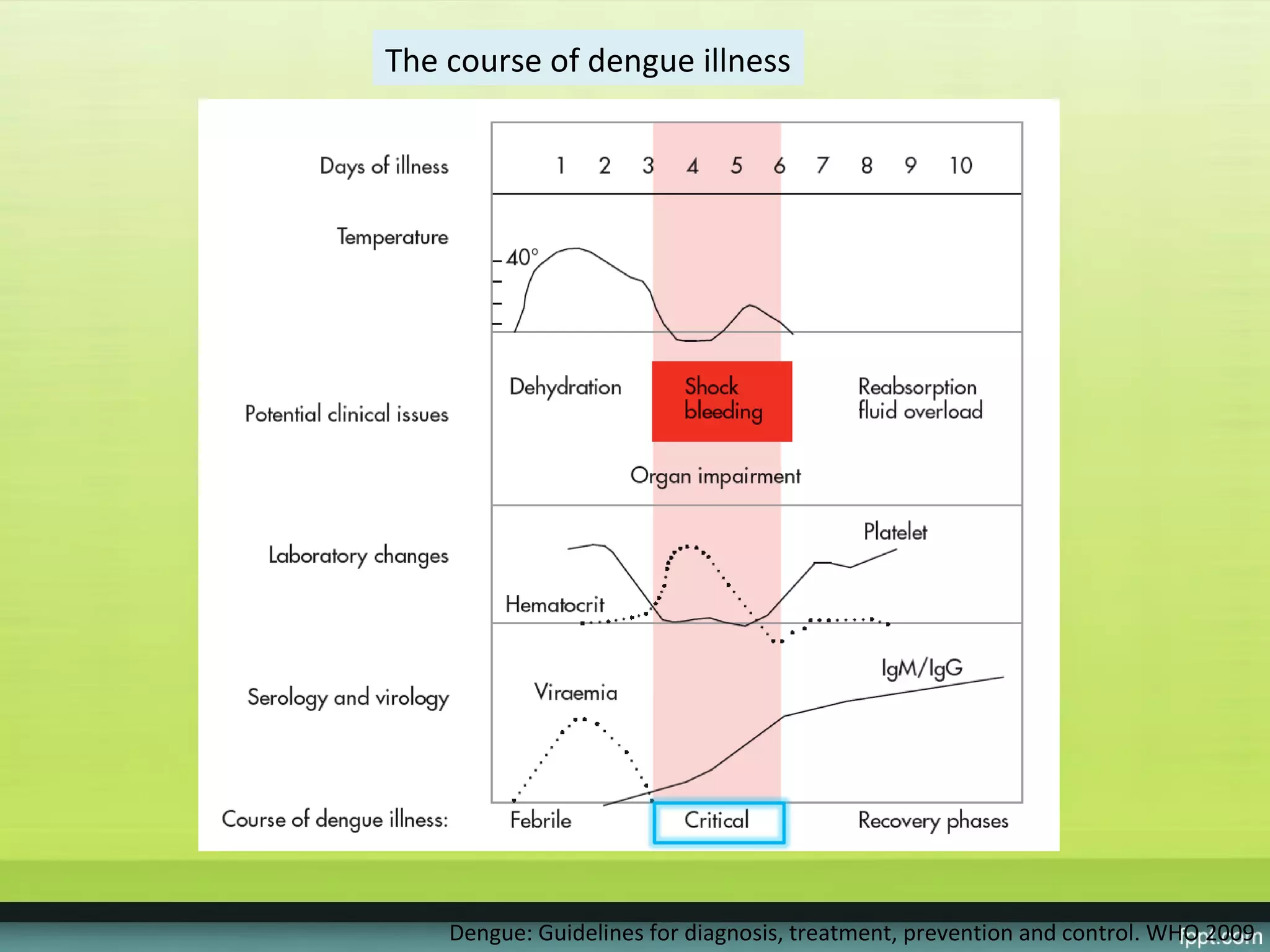 The course of dengue illness




    Dengue: Guidelines for diagnosis, treatment, prevention and control. WHO 2009
 