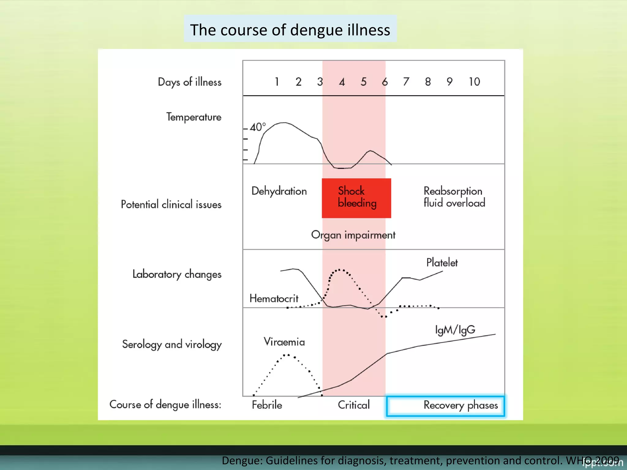 The course of dengue illness




    Dengue: Guidelines for diagnosis, treatment, prevention and control. WHO 2009
 
