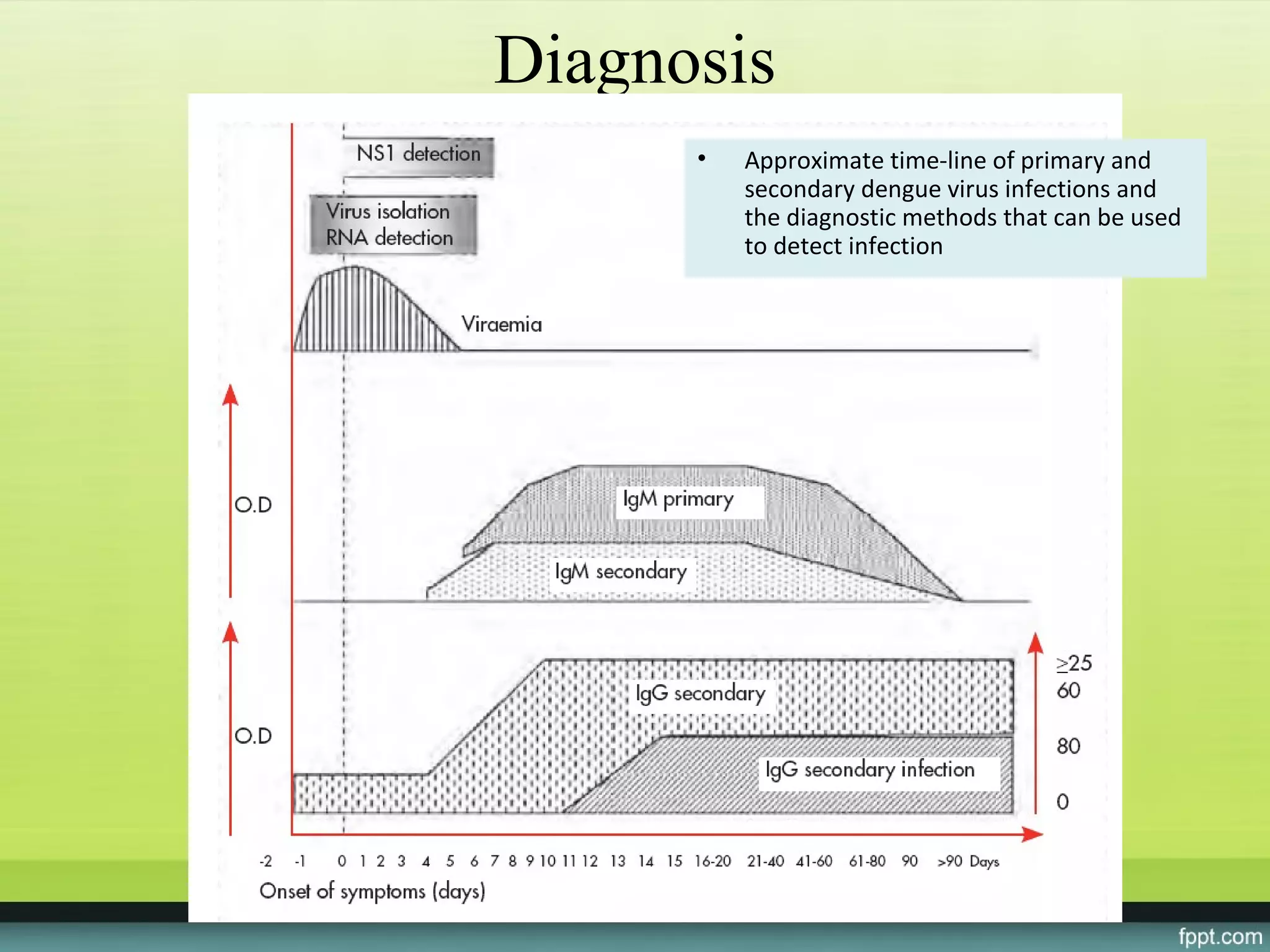 Diagnosis
      •   Approximate time-line of primary and
          secondary dengue virus infections and
          the diagnostic methods that can be used
          to detect infection
 