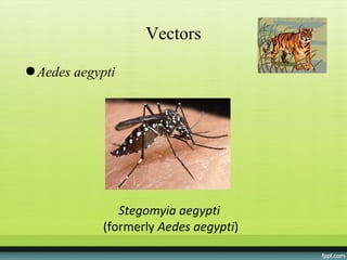 Vectors

● Aedes aegypti




                Stegomyia aegypti
             (formerly Aedes aegypti)
 