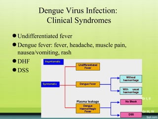 Dengue Virus Infection:
            Clinical Syndromes
● Undifferentiated fever
● Dengue fever: fever, headache, muscle pain,
  nausea/vomiting, rash
● DHF
● DSS



                                                Gr I, II
                         Plasma leakage

                                                Gr III, IV
 