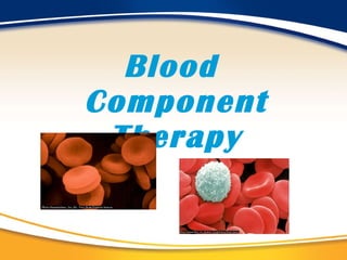 Blood Component Therapy 