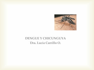 DENGUE Y CHICUNGUYA
Dra. Lucía Carrillo O.
 