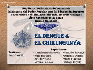 Dengue y chikungunya