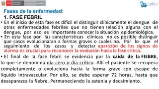 Fases de la enfermedad:
1. FASE FEBRIL
• En el inicio de esta fase es difícil el distinguir clínicamente el dengue de
otra...