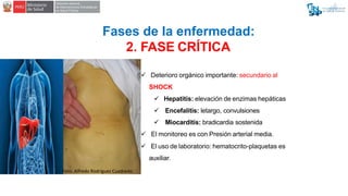 Fases de la enfermedad:
2. FASE CRÍTICA
 Deterioro orgánico importante: secundario al
SHOCK
 Hepatitis: elevación de enz...