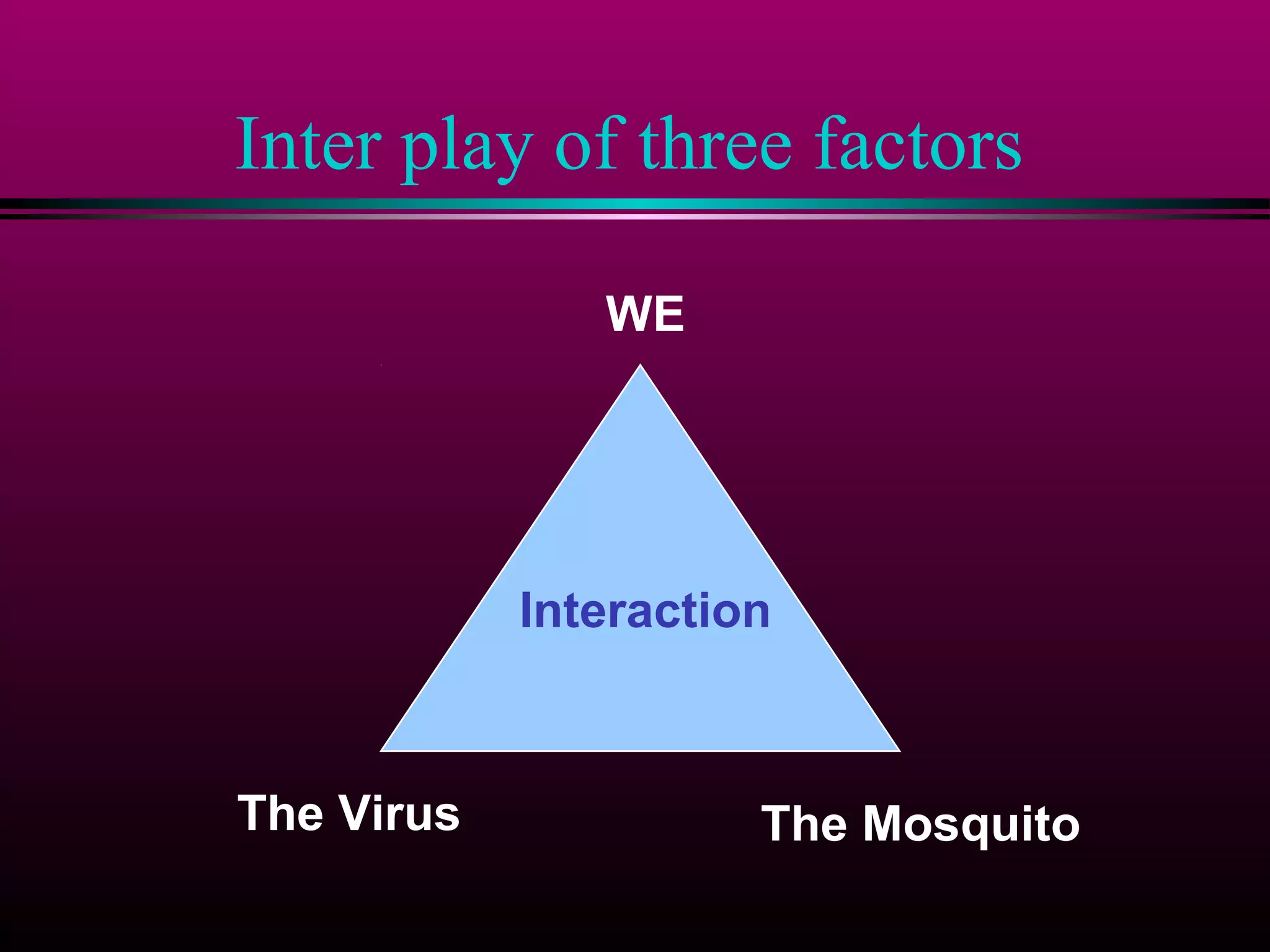 Inter play of three factors
WE

Interaction

The Virus

The Mosquito

 