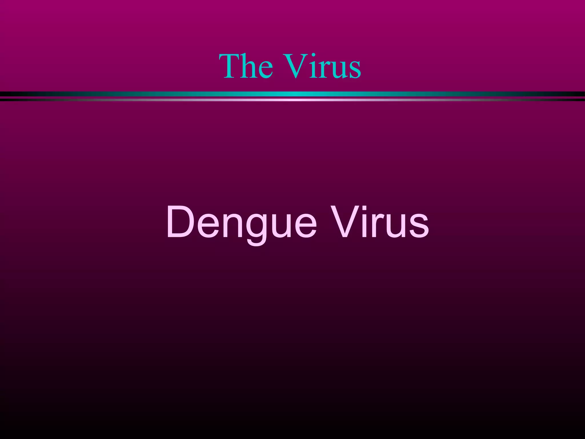 The Virus

Dengue Virus

 