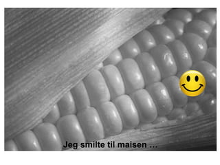 Jeg smilte til maisen …
 