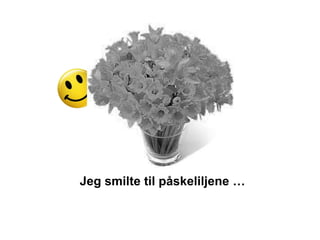 Jeg smilte til påskeliljene …
 