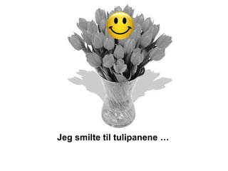 Jeg smilte til tulipanene …
 