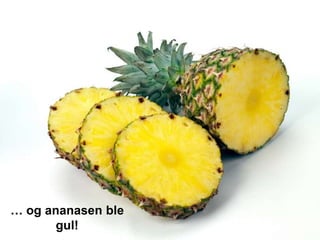 … og ananasen ble
       gul!
 