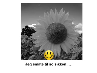 Jeg smilte til solsikken …
 