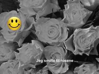 Jeg smilte til rosene …
 