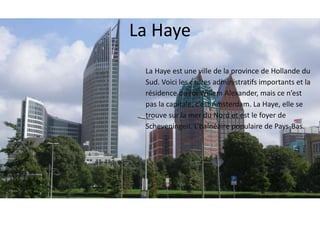La Haye 
La Haye est une ville de la province de Hollande du 
Sud. Voici les cadres administratifs importants et la 
résidence du roi Willem Alexander, mais ce n’est 
pas la capitale, c’est Amsterdam. La Haye, elle se 
trouve sur la mer du Nord et est le foyer de 
Scheveningen. L’balnéaire populaire de Pays-Bas. 
 
