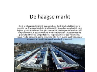 De haagse markt 
C'est le plus grand marché aux pays-bas. Il est situé à la Haye sur le 
quartier du Transvaal et de le Schilderswijk. Selon la municipalité, c'est 
le plus grand marché en Europe. Le marché se compose d'environ 500 
emplacements. Il est un marché multiculturel avec toutes sortes de 
produits différents (importation). Tu peux acheter des vêtements, 
tissus, fruits, poissons, pains, légumes, etc. Il est ouvre quatre jours par 
semaine: les lundi, mercredi, vendredi et samedi. 
 