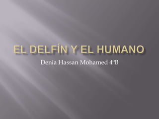 Denia Hassan Mohamed 4ºB
 