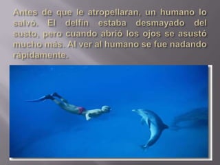 Denia Hassan mohamed 4ºB