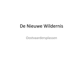 De Nieuwe Wildernis
Oostvaardersplassen

 