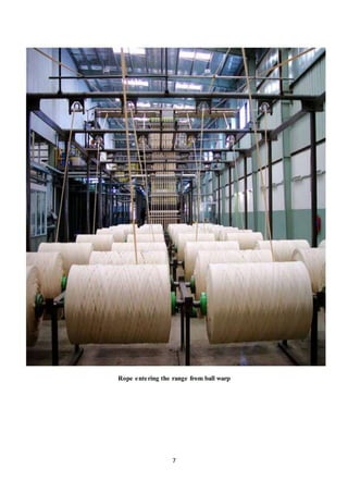 7
Rope entering the range from ball warp
 