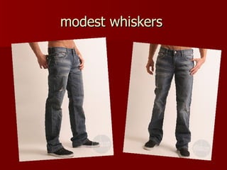 modest whiskers  