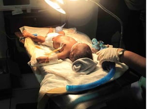 Denise Davis' Pictures from the Haiti Earthquake