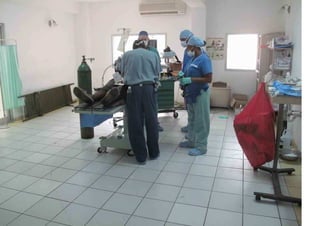Denise Davis' Pictures from the Haiti Earthquake
