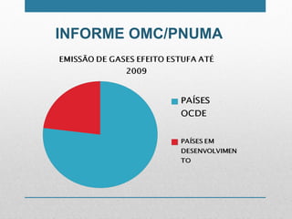 INFORME OMC/PNUMA  