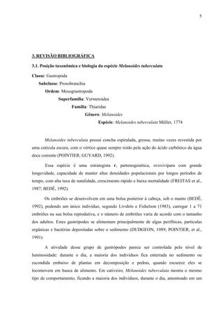 5
3. REVISÃO BIBLIOGRÁFICA
3.1. Posição taxonômica e biologia da espécie Melanoides tuberculata
Classe: Gastropoda
Subclasse: Prosobranchia
Ordem: Mesograstropoda
Superfamília: Vermetoidea
Família: Thiaridae
Gênero: Melanoides
Espécie: Melanoides tuberculata Müller, 1774
Melanoides tuberculata possui concha espiralada, grossa, muitas vezes revestida por
uma cutícula escura, com o vértice quase sempre roído pela ação do ácido carbônico da água
doce corrente (POINTIER; GUYARD, 1992).
Essa espécie é uma estrategista r, partenogenética, ovovivípara com grande
longevidade, capacidade de manter altas densidades populacionais por longos períodos de
tempo, com alta taxa de natalidade, crescimento rápido e baixa mortalidade (FREITAS et al.,
1987; BEDÊ, 1992).
Os embriões se desenvolvem em uma bolsa posterior à cabeça, sob o manto (BEDÊ,
1992), podendo um único indivíduo, segundo Livshits e Fishelson (1983), carregar 1 a 71
embriões na sua bolsa reprodutiva, e o número de embriões varia de acordo com o tamanho
dos adultos. Estes gastrópodes se alimentam principalmente de algas perifíticas, partículas
orgânicas e bactérias depositadas sobre o sedimento (DUDGEON, 1989; POINTIER, et al.,
1991).
A atividade desse grupo de gastrópodes parece ser controlada pelo nível de
luminosidade: durante o dia, a maioria dos indivíduos fica enterrada no sedimento ou
escondida embaixo de plantas em decomposição e pedras, quando escurece eles se
locomovem em busca de alimento. Em cativeiro, Melanoides tuberculata mostra o mesmo
tipo de comportamento, ficando a maioria dos indivíduos, durante o dia, amontoado em um
 