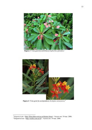 13
Figura 3. Vista geral da euforbiácea Euphorbia splendens.3
Figura 4. Vista geral da asclepiadácea Asclepias curassavica.4
3
Disponível em: <http://flora.nhm-wien.ac.at/Seiten-Arten>. Acesso em: 19 mar. 2006.
4
Disponível em: <http://rschoi.com.ne.kr>. Acesso em: 19 mar. 2006.
 