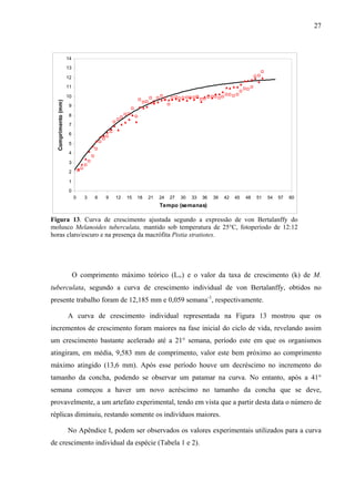 27
0
1
2
3
4
5
6
7
8
9
10
11
12
13
14
0 3 6 9 12 15 18 21 24 27 30 33 36 39 42 45 48 51 54 57 60
Tempo (semanas)
Comprimento(mm)
Figura 13. Curva de crescimento ajustada segundo a expressão de von Bertalanffy do
molusco Melanoides tuberculata, mantido sob temperatura de 25°C, fotoperíodo de 12:12
horas claro/escuro e na presença da macrófita Pistia stratiotes.
O comprimento máximo teórico (L∞) e o valor da taxa de crescimento (k) de M.
tuberculata, segundo a curva de crescimento individual de von Bertalanffy, obtidos no
presente trabalho foram de 12,185 mm e 0,059 semana-1
, respectivamente.
A curva de crescimento individual representada na Figura 13 mostrou que os
incrementos de crescimento foram maiores na fase inicial do ciclo de vida, revelando assim
um crescimento bastante acelerado até a 21° semana, período este em que os organismos
atingiram, em média, 9,583 mm de comprimento, valor este bem próximo ao comprimento
máximo atingido (13,6 mm). Após esse período houve um decréscimo no incremento do
tamanho da concha, podendo se observar um patamar na curva. No entanto, após a 41°
semana começou a haver um novo acréscimo no tamanho da concha que se deve,
provavelmente, a um artefato experimental, tendo em vista que a partir desta data o número de
réplicas diminuiu, restando somente os indivíduos maiores.
No Apêndice I, podem ser observados os valores experimentais utilizados para a curva
de crescimento individual da espécie (Tabela 1 e 2).
 