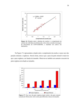 30
y = 0,3992x - 0,0207
R
2
= 0,9133
0
0,2
0,4
0,6
0,8
1
1,2
0 0,5 1 1,5 2 2,5 3
Comprimento da concha (cm)
Aberturadaconcha(cm)
Figura 16. Relação entre a abertura da concha e o comprimento da
concha dos indivíduos de Melanoides tuberculata oriundos de tanques
de piscicultura do CEPTA/IBAMA, e mantidos em cultivo em
laboratório.
Na Figura 17 é apresentada a relação entre o comprimento da concha e o peso seco das
porções minerais e orgânicas. Através desta, nota-se que o peso da parte mineral é maior do
que o peso orgânico, em função do tamanho. Observou-se também um aumento crescente da
parte orgânica em relação ao tamanho.
0
0,02
0,04
0,06
0,08
0,1
0,12
0,14
0,16
0,18
1 1,2 1,45 1,5 1,7
Comprimento da concha (cm)
Pesoseco(g)
Porção Orgânico Porção Mineral
Figura 17. Peso seco da parte orgânica (parte mole) e da parte mineral
(concha) de Melanoides tuberculata para diferentes classes de tamanho.
 