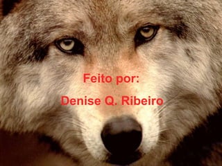 Feito por:  Denise Q. Ribeiro 