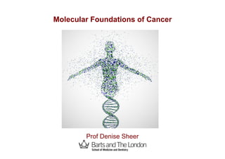 Molecular Foundations of Cancer
Prof Denise Sheer
 